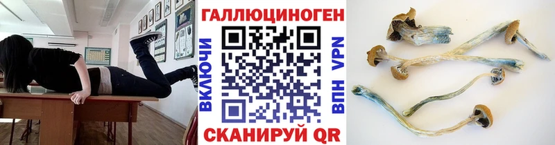 Галлюциногенные грибы Psilocybine cubensis Богданович